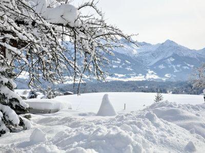 Alphirt Ferienwohnungen Fischen im Allgaeu Exteriér fotografie